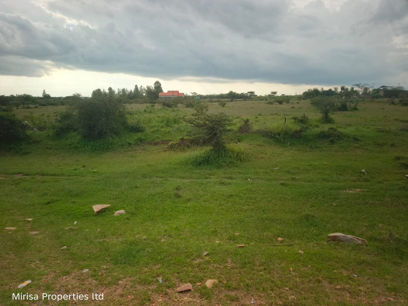Olerai land thumbnail 5